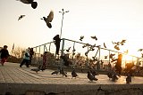 Des enfants jouent avec des oiseaux devant la mosquée de Karte Sakhi, à Kaboul. Crédit photo : Ines Gil